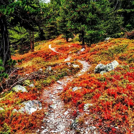 En Anniviers, Cosy Au Centre Du Village De Jean Alpehytte *